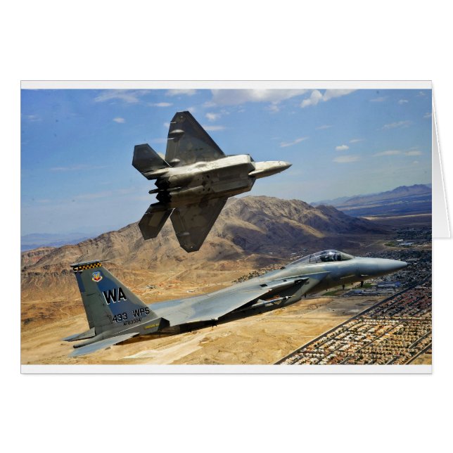 UNE PAIRE DE RAPTOR (Devant horizontal)