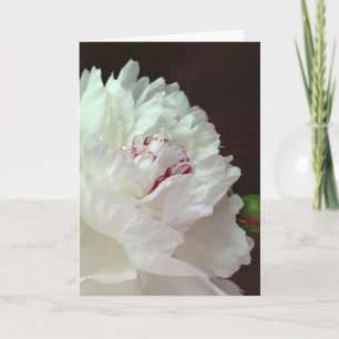 Une pivoine pour vos pensées Carte de note blanche