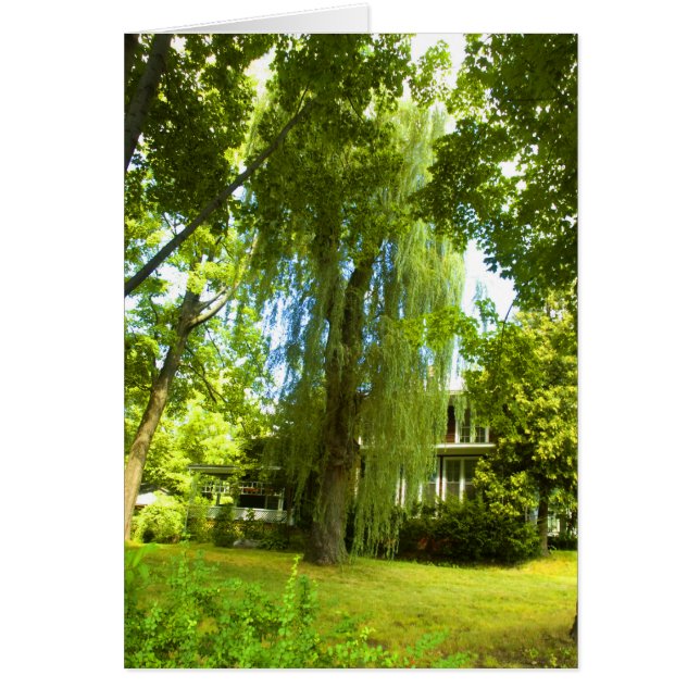 Une place au-delà - Mystère presque dans la vue ca (Devant)