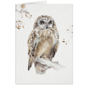 Une promenade VIII de région boisée