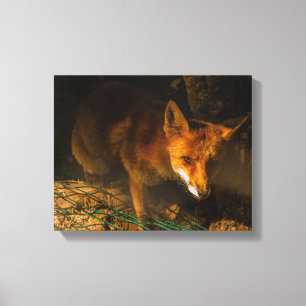 une réunion nocturne avec un renard sur toile tend