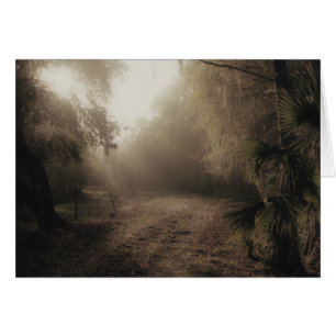 Une route de campagne en Floride