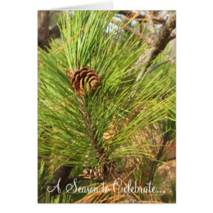 Une saison à célébrer…