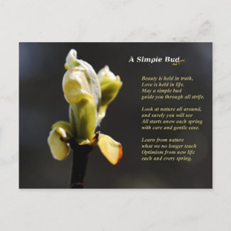 Une simple carte postale Bud