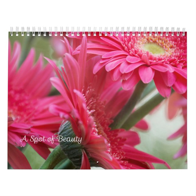 Une tache de calendrier de beauté (Protection)