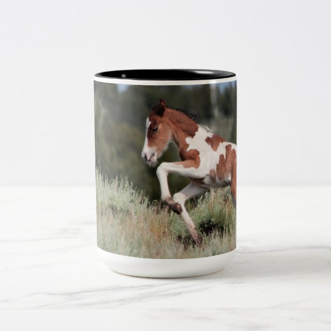 Une tasse de mustang de "pluie" (Centre)