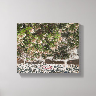 Une toile en fleurs : Manzanita