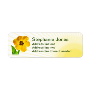 Une Tulipe Jaune Grosse photo florale