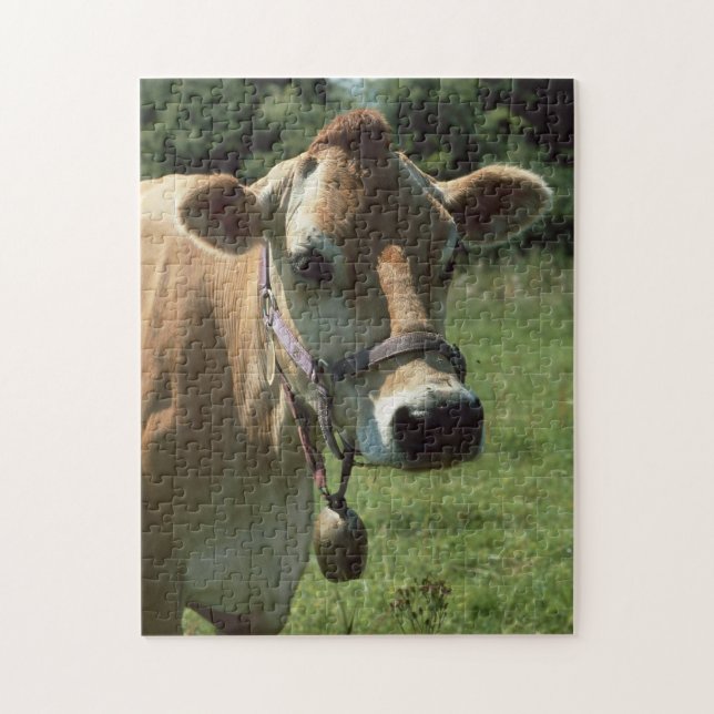 Une vache Brown du Jersey dans le puzzle denteux (Vertical)