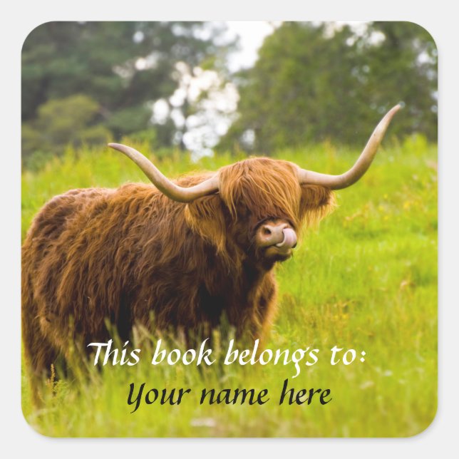 Une vache des Highland Sticker "Ce livre appartien (Devant)