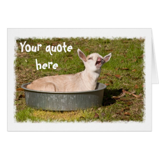 Une vue de chèvre (Devant horizontal)