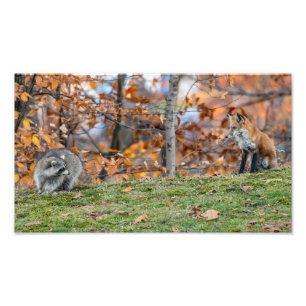 Uneasy Encounter Photo Print