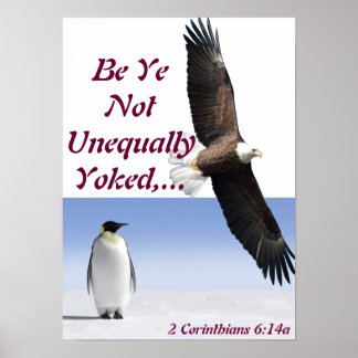 Unequally Yoked. Poster
