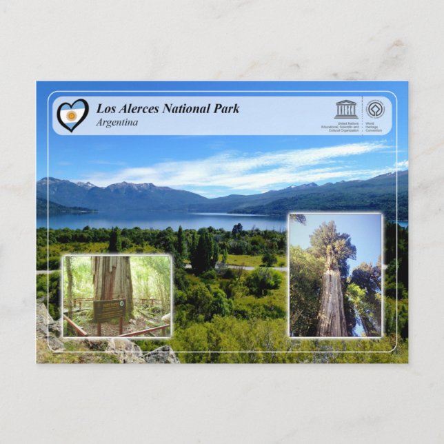 UNESCO - Los Alerces National Park Postcard (Front)