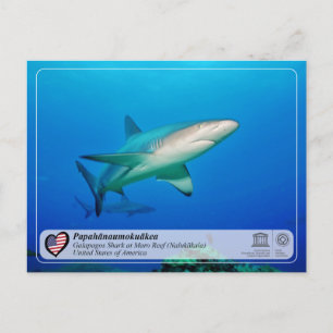 UNESCO - Papahānaumokuākea - Maro Reef Postcard