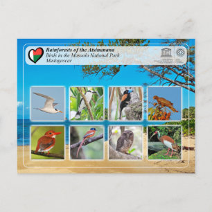 UNESCO WHS - Atsinanana - Masoala National Park Postcard