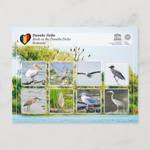 UNESCO WHS - Birds in the Danube Delta Postcard
