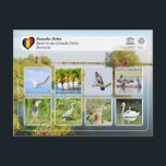 UNESCO WHS - Birds in the Danube Delta Postcard<br><div class="desc">UNESCO WHS Serie - World Heritage Sites in Romania - Delta Dunării - Birds - Danube Delta - The waters of the Danube, which flow into the Black Sea, form the largest and best preserved of Europe's deltas. The Danube delta hosts over 300 species of birds as well as 45...</div>