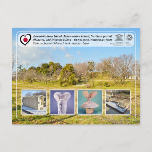 UNESCO WHS - Furuichi - Tsudo-shiroyama Kofun Postcard