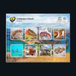 UNESCO WHS - Galápagos Islands Postcard<br><div class="desc">UNESCO WHS Serie - World Heritage Sites in Ecuador - Galápagos Islands - Situated in the Pacific Ocean some 1'000 km from the South American continent, these 19 islands and the surrounding marine reserve have been called a unique living museum and showcase of evolution. Located at the confluence of three...</div>
