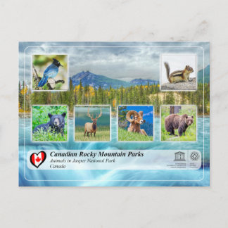 UNESCO WHS - Jasper National Park Postcard