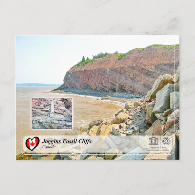 UNESCO WHS - Joggins Fossil Cliffs Postcard (Front)