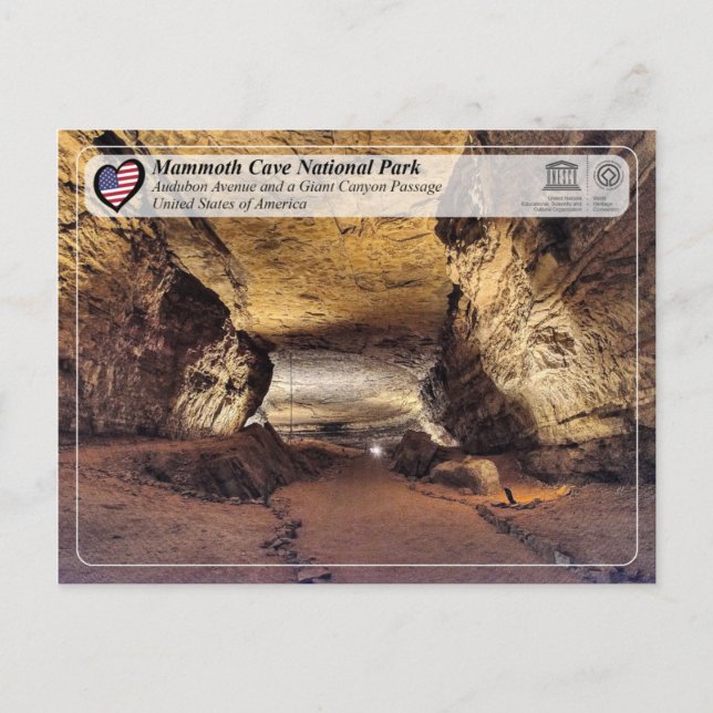UNESCO WHS - Mammoth Cave National Park Postcard (Front)