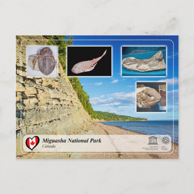 UNESCO WHS - Miguasha National Park Postcard (Front)