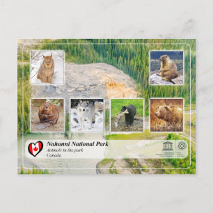 UNESCO WHS - Nahanni National Park Postcard