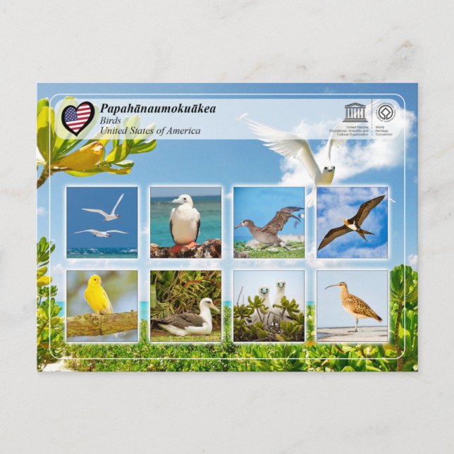 UNESCO WHS - Papahānaumokuākea - Birds Postcard (Front)