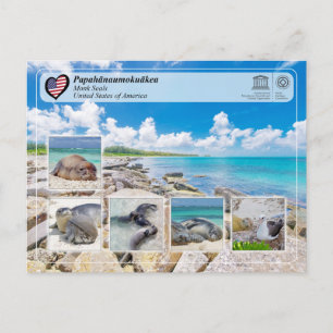 UNESCO WHS - Papahānaumokuākea - Monk Seals Postcard