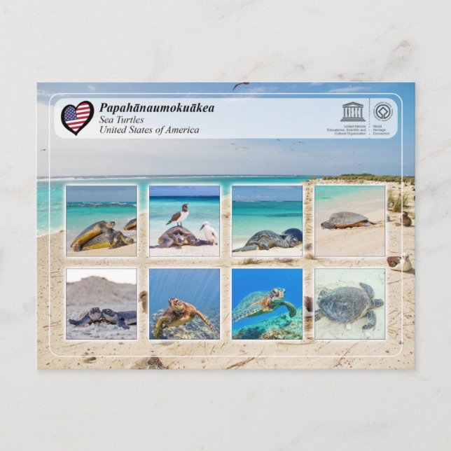 UNESCO WHS - Papahānaumokuākea - Sea Turtles Postcard (Front)