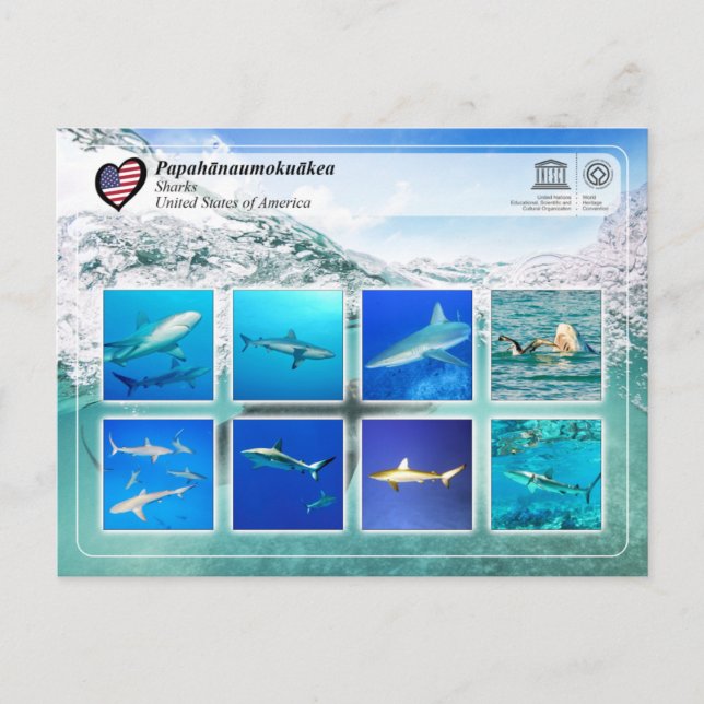 UNESCO WHS - Papahānaumokuākea - Sharks Postcard (Front)