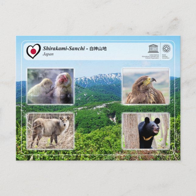 UNESCO WHS - Shirakami-Sanchi - 白神山地 Postcard (Front)