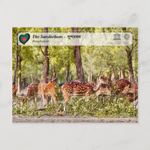 UNESCO WHS - The Sundarbans Postcard