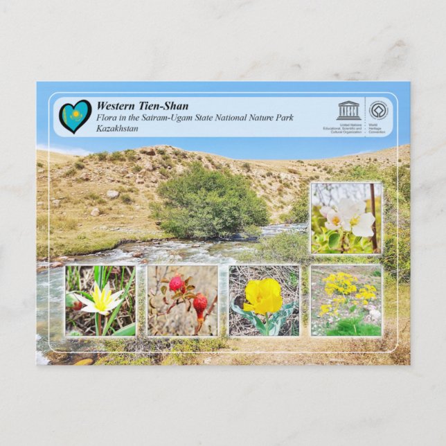 UNESCO WHS - Western Tien-Shan - Sairam-Ugam Postcard (Front)