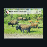 UNESCO WHS - Wood Buffalo National Park Postcard<br><div class="desc">UNESCO WHS Serie - Wood Buffalo National Park - Situated on the plains in the north-central region of Canada, the park, which covers 44'807 km2, is home to North America's largest population of wild bison. It is also the natural nesting place of the whooping crane. Another of the park's attractions...</div>