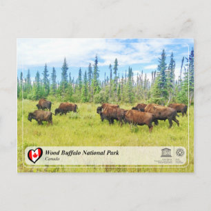 UNESCO WHS - Wood Buffalo National Park Postcard