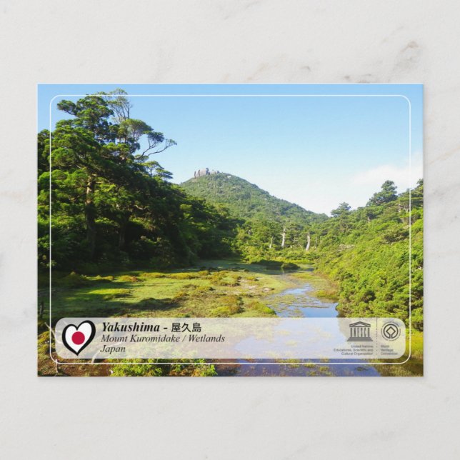 UNESCO WHS - Yakushima - 屋久島 Carte postale (Devant)