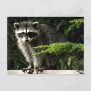 Unexpected Visitor, #3 Postcard