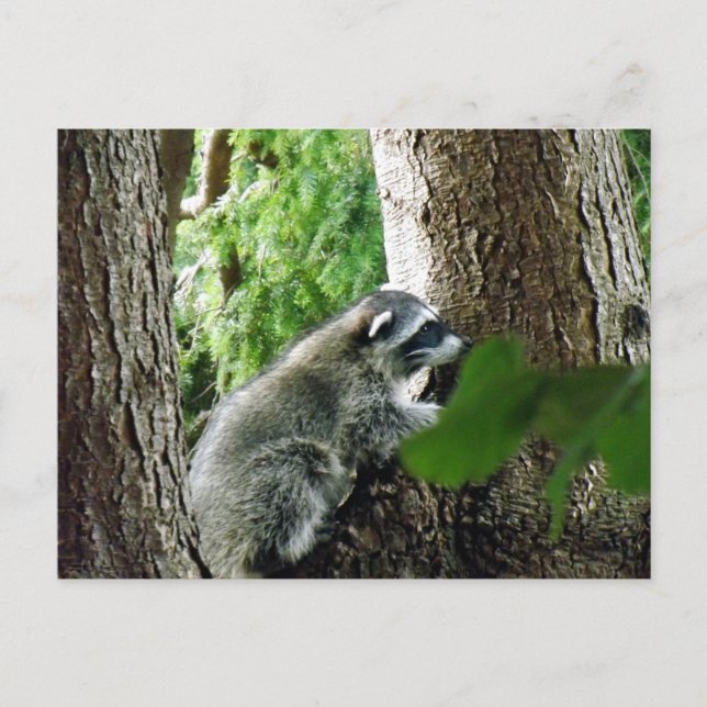 Unexpected Visitor, #6 Postcard (Front)