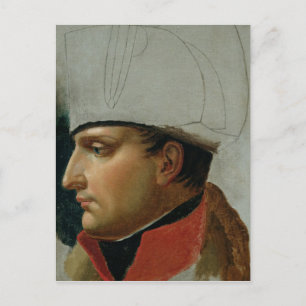 Unfinished Portrait of Napoleon I Postcard