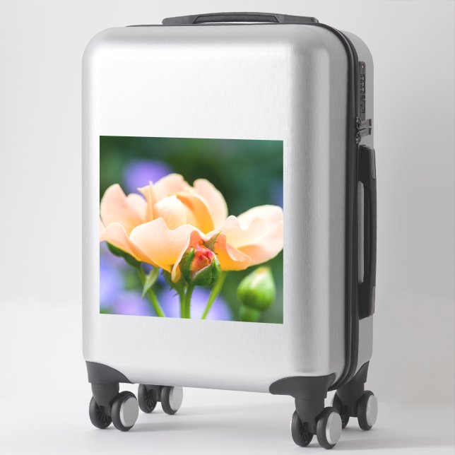 unfolding desire (Suitcase)