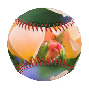 unfolding desire baseball