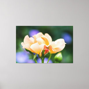 unfolding desire canvas print