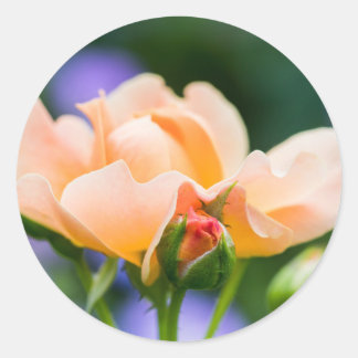 unfolding desire classic round sticker