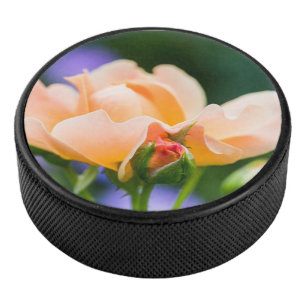 unfolding desire hockey puck