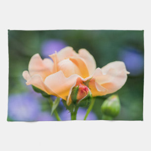 unfolding desire kitchen towel