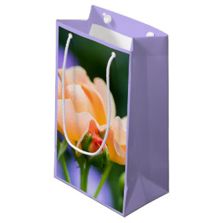 unfolding desire large gift bag