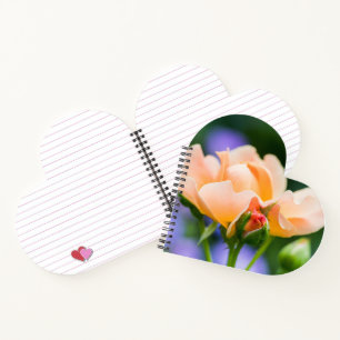 unfolding desire notebook
